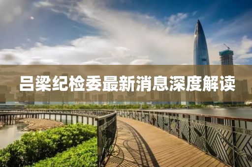 呂梁紀(jì)檢委最新消息深度解讀