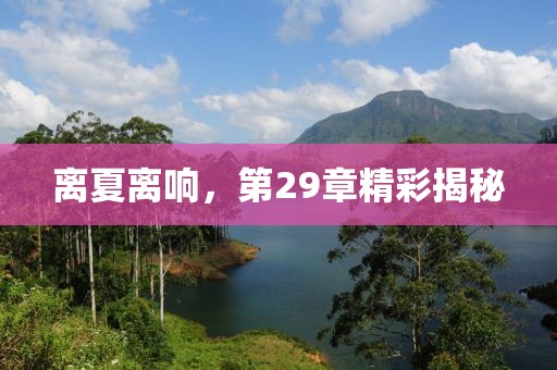 離夏離響，第29章精彩揭秘