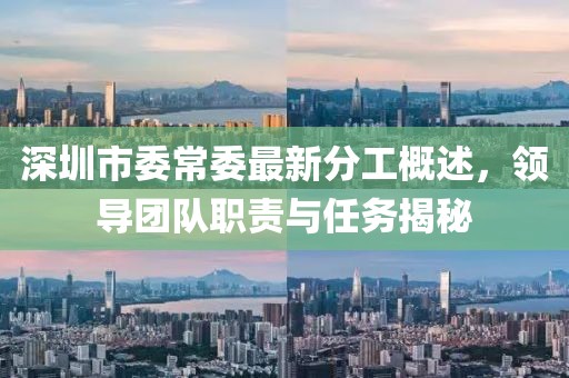 深圳市委常委最新分工概述，領(lǐng)導(dǎo)團(tuán)隊(duì)職責(zé)與任務(wù)揭秘
