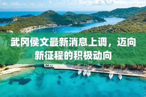 溫柔不夠 第13頁(yè)