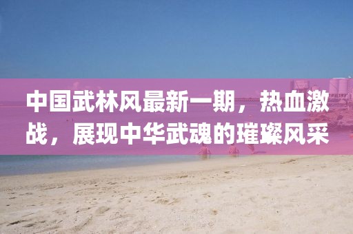 中國武林風(fēng)最新一期，熱血激戰(zhàn)，展現(xiàn)中華武魂的璀璨風(fēng)采