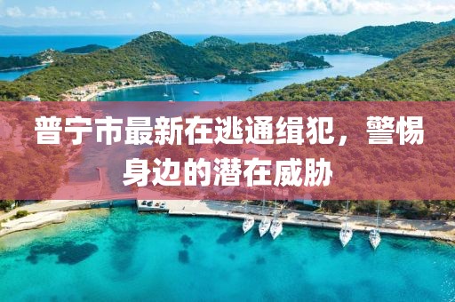 普寧市最新在逃通緝犯，警惕身邊的潛在威脅