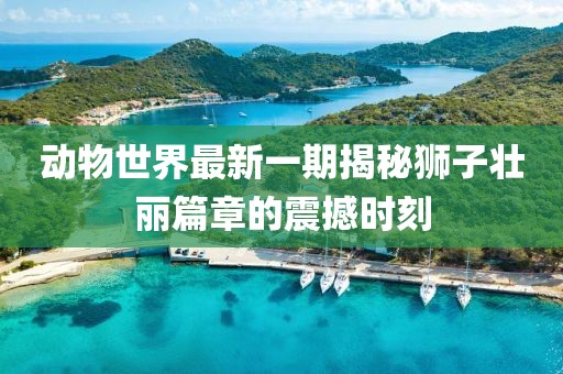 動(dòng)物世界最新一期揭秘獅子壯麗篇章的震撼時(shí)刻