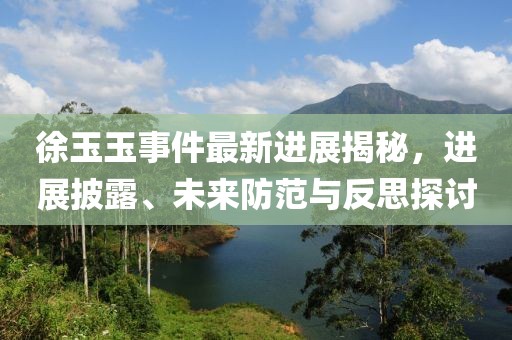 徐玉玉事件最新進展揭秘，進展披露、未來防范與反思探討