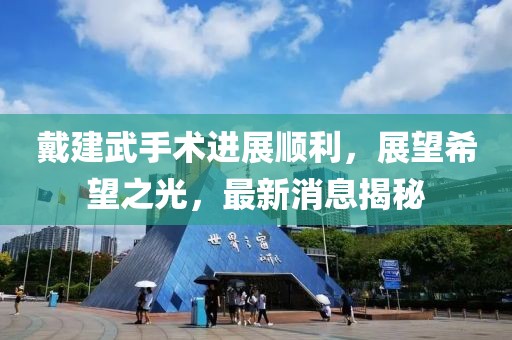戴建武手術(shù)進(jìn)展順利，展望希望之光，最新消息揭秘