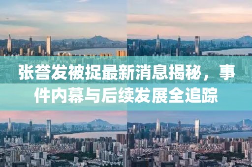 張譽(yù)發(fā)被捉最新消息揭秘，事件內(nèi)幕與后續(xù)發(fā)展全追蹤