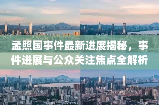 孟照國事件最新進展揭秘，事件進展與公眾關注焦點全解析