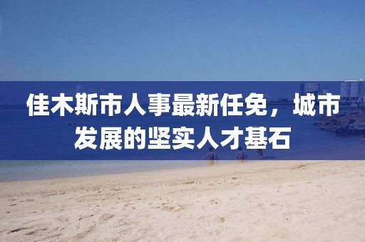 佳木斯市人事最新任免，城市發(fā)展的堅實人才基石