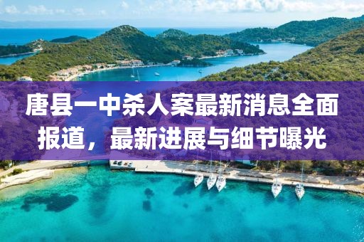 唐縣一中殺人案最新消息全面報道，最新進(jìn)展與細(xì)節(jié)曝光