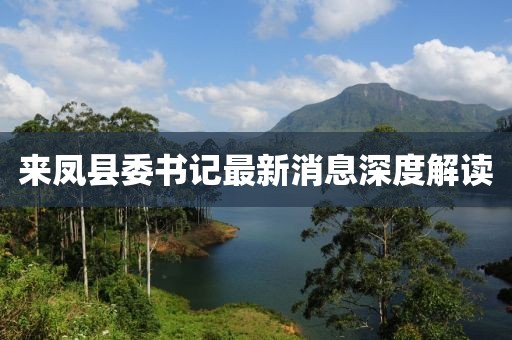 來(lái)鳳縣委書(shū)記最新消息深度解讀
