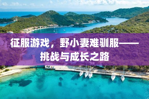 征服游戲，野小妻難馴服——挑戰(zhàn)與成長之路