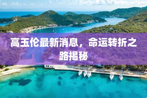 高玉倫最新消息，命運轉(zhuǎn)折之路揭秘