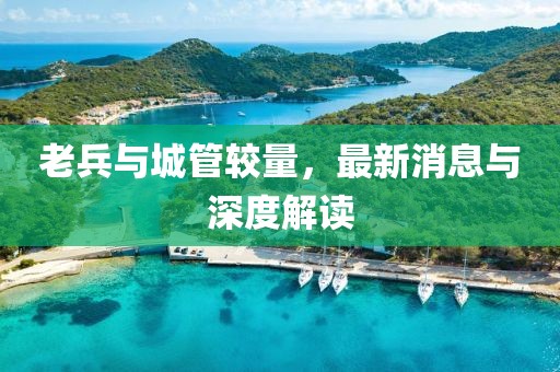 老兵與城管較量，最新消息與深度解讀