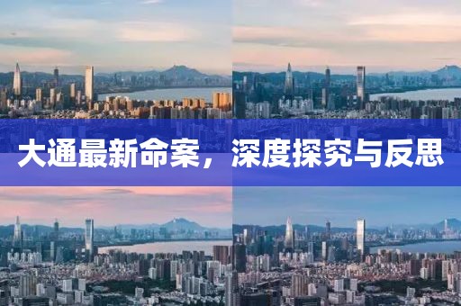 大通最新命案，深度探究與反思