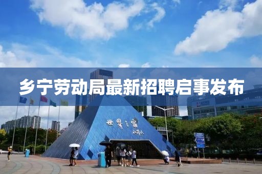 鄉(xiāng)寧勞動局最新招聘啟事發(fā)布