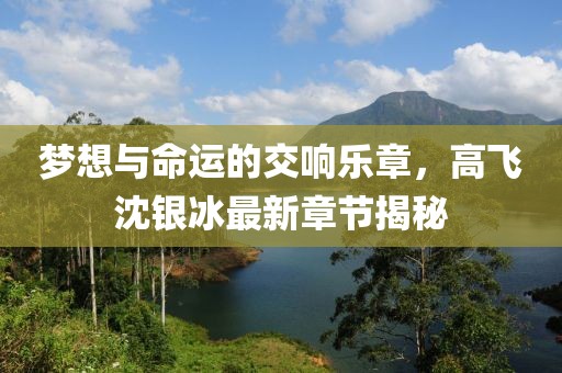 夢想與命運的交響樂章，高飛沈銀冰最新章節(jié)揭秘