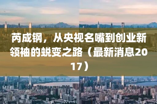 芮成鋼，從央視名嘴到創(chuàng)業(yè)新領(lǐng)袖的蛻變之路（最新消息2017）