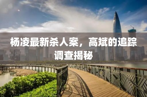 楊凌最新殺人案，高斌的追蹤調(diào)查揭秘