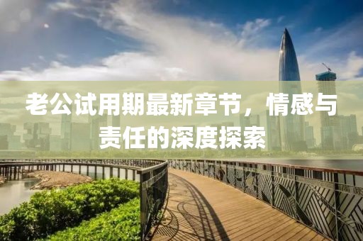 老公試用期最新章節(jié)，情感與責(zé)任的深度探索