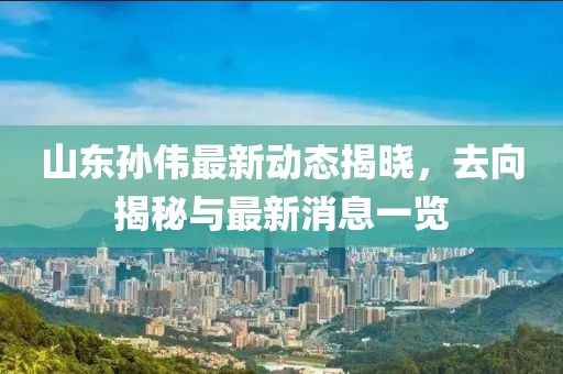 山東孫偉最新動態(tài)揭曉，去向揭秘與最新消息一覽
