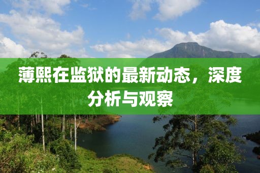 薄熙在監(jiān)獄的最新動(dòng)態(tài)，深度分析與觀察
