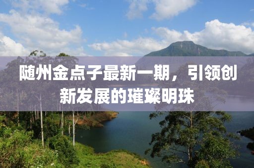 隨州金點子最新一期，引領創(chuàng)新發(fā)展的璀璨明珠
