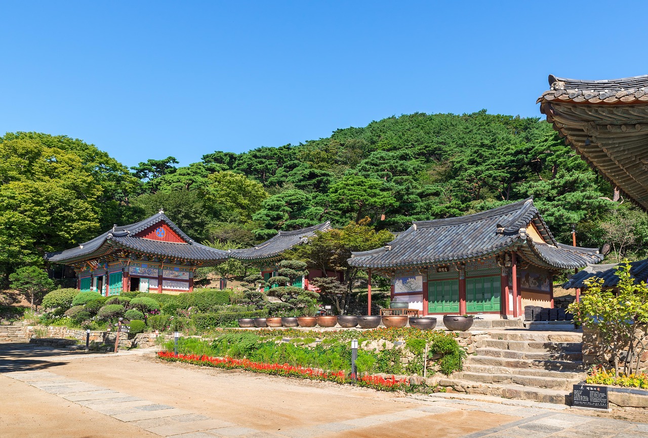 廣饒四季花城，繁榮盛景與未來(lái)期待揭秘